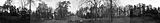 russ_garnission_2009-12.06_0002