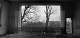 russ_garnission_2009-12.12_0006