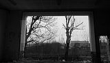 russ_garnission_2009-12.12_0007
