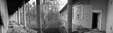 russ_garnission_2009-12.12_0009
