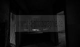 russ_garnission_2009-12.12_0025