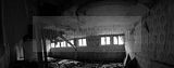 russ_garnission_2009-12.12_0028