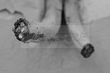 russ_garnission_2009-12.12_0043
