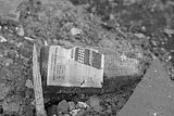 russ_garnission_2009-12.12_0045
