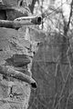 russ_garnission_2009-12.12_0046