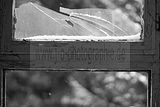 russ_garnission_2009-12.13_0019