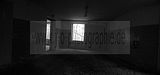 russ_garnission_2009-12.13_0025