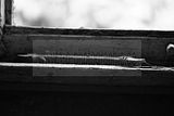 russ_garnission_2009-12.20_0006