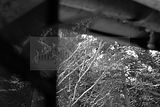 russ_garnission_2009-12.20_0010