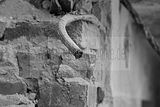 russ_garnission_2009-12.20_0018