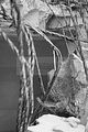 russ_garnission_2009-12.20_0022