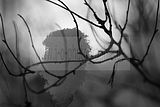 russ_garnission_2009-12.20_0026