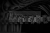 russ_garnission_2009-12.20_0031