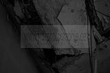 russ_garnission_2009-12.20_0039