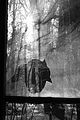 russ_garnission_2009-12.20_0044