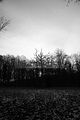 russ_garnission_2009-12.27_0021