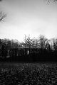 russ_garnission_2009-12.27_0022
