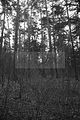russ_garnission_2009-12.27_0024