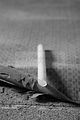 russ_garnission_2010-01.16_0014
