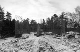 russ_garnission_2010-01.31_0022