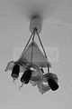 russ_garnission_2010-01.31_0030