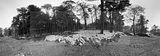 russ_garnission_2010-02.07_0013