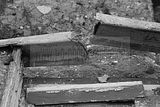 russ_garnission_2010-02.07_0019