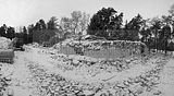 russ_garnission_2010-02.14_0002