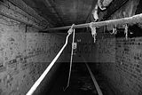 russ_garnission_2010-02.21_0012