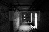 russ_garnission_2010-02.21_0013