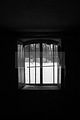russ_garnission_2010-02.21_0020