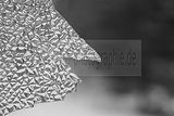 russ_garnission_2010-02.21_0022