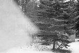 russ_garnission_2010-02.21_0023