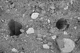 russ_garnission_2010-02.28_0010