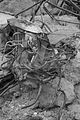 russ_garnission_2010-02.28_0012