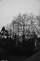 russ_garnission_2010-02.28_0013