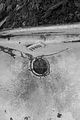 russ_garnission_2010-02.28_0020