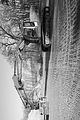 russ_garnission_2010-04.02_0005