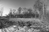 russ_garnission_2010-04.02_0011