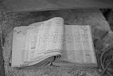 russ_garnission_2010-05.21_0011