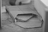 russ_garnission_2010-05.21_0012