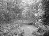 russ_garnission_2010-06.19_0002