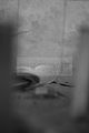 russ_garnission_2010-06.19_0020