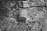 russ_garnission_2010-06.19_0022