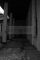 russ_garnission_2010-07.24_0004