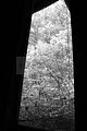 russ_garnission_2010-07.24_0009