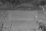 russ_garnission_2010-07.24_0016