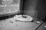 russ_garnission_2010-07.24_0018