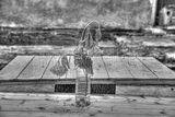 russ_garnission_2011-05.29_06
