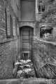 russ_garnission_2011-05.29_16
